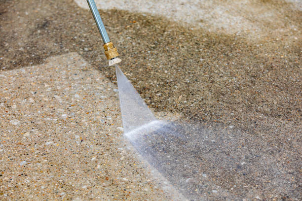 Best Sidewalk and Walkway Cleaning  in Michigan City, IN